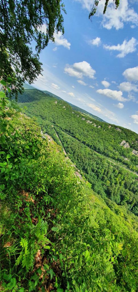 い 、
、 き 、 す し ・
- て い レ し