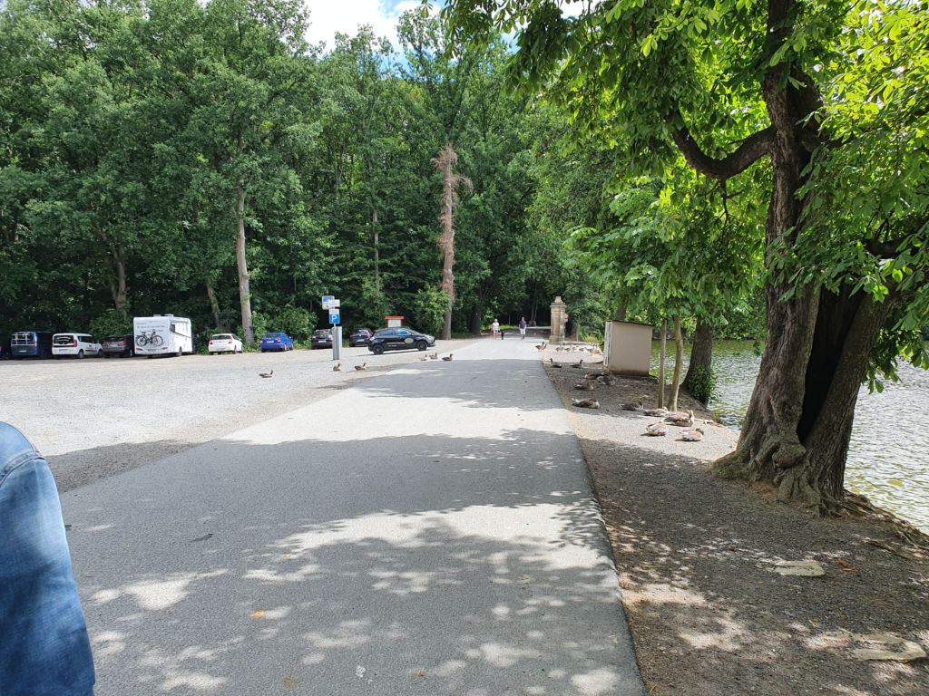 ー ぐ 、 - - 洋 二 亠 ミ 訂 ー 、
「 わ を に
。 き , を を , ゞ 第 、 立
、 物 ィ 、 イ ・ 供 を
こ 引 み ! ゾ 多
' な を 。 ィ 第 4 ま