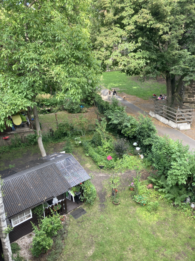 لية
وه
وو؟ د إي. رمدتو.