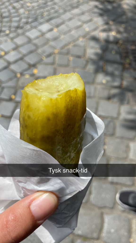 Tysk snach-tid